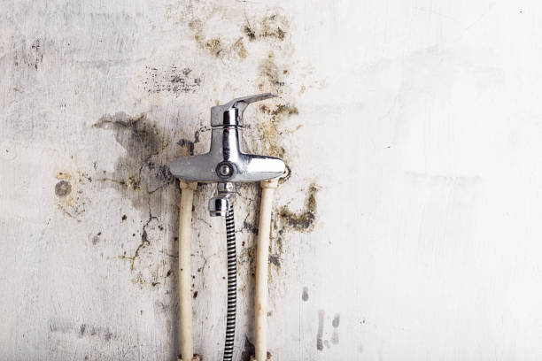Best Mold Remediation for Schools in Pond Creek, OK