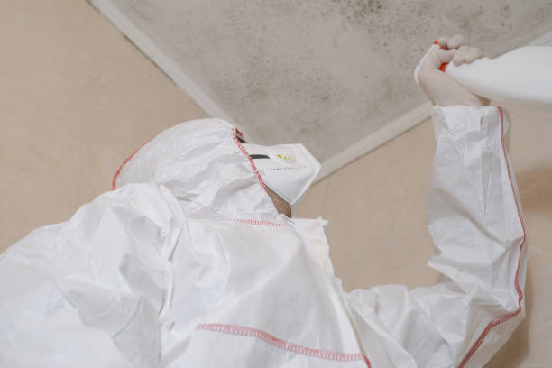 Best Preventive Mold Services in Pond Creek, OK
