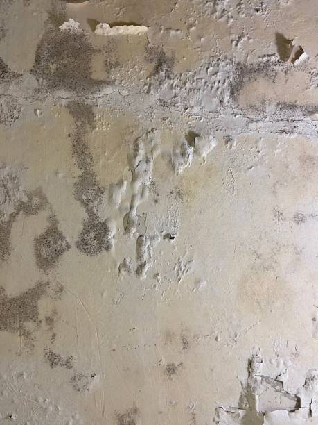 Pond Creek, OK Mold Remediation Company